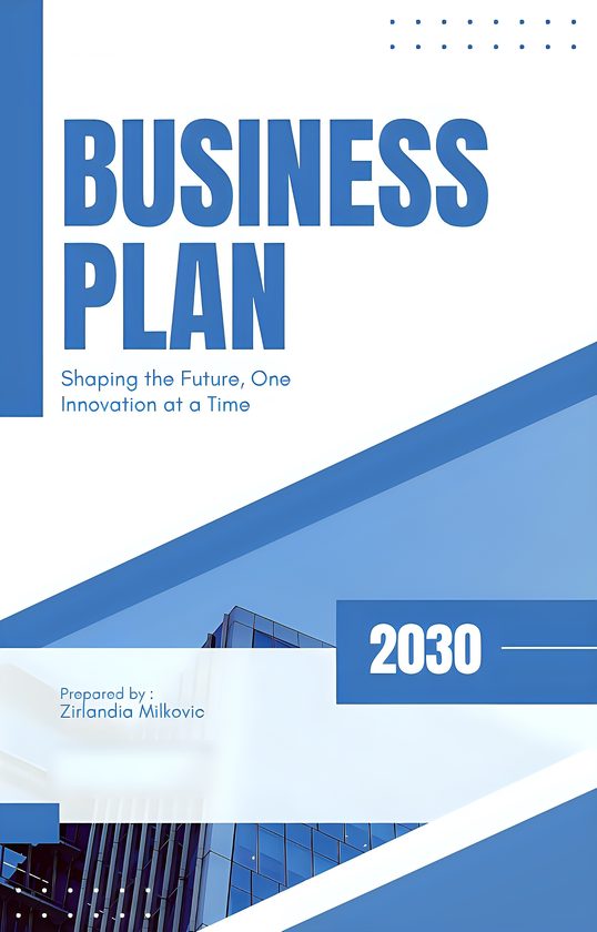 Cover of Business Plan 2030