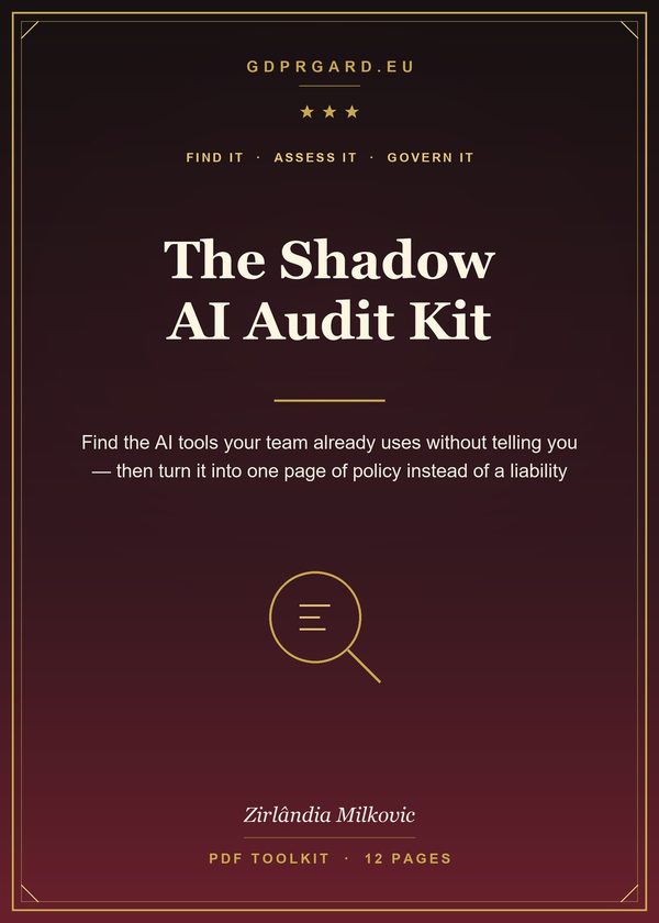 Cover of The Shadow AI Audit Kit